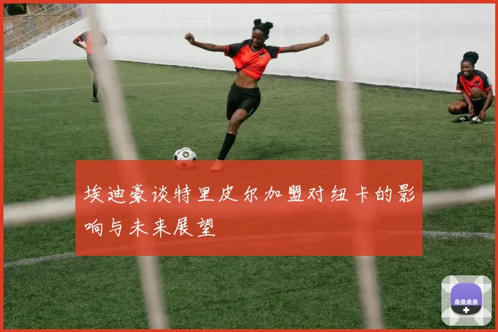 埃迪豪谈特里皮尔加盟对纽卡的影响与未来展望